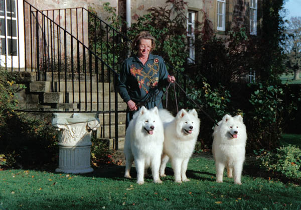 Margaret Wilcock & Samoyeds