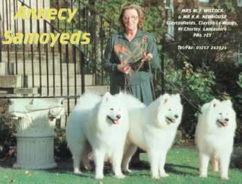Margaret and half a sled team