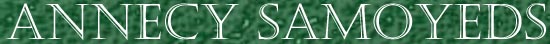 Annecy Samoyeds